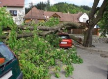Kwikfynd Tree Cutting Services
merrylands