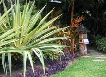Kwikfynd Tropical Landscaping
merrylands