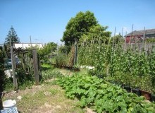 Kwikfynd Vegetable Gardens
merrylands